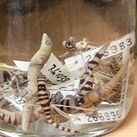 6F Lab Specimen Jar